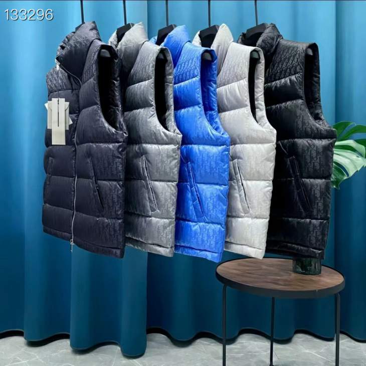 Picture of Dior Down Jackets _SKUDiorsz1-526yr0137759